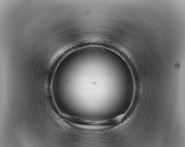 X0000089360922200706221157