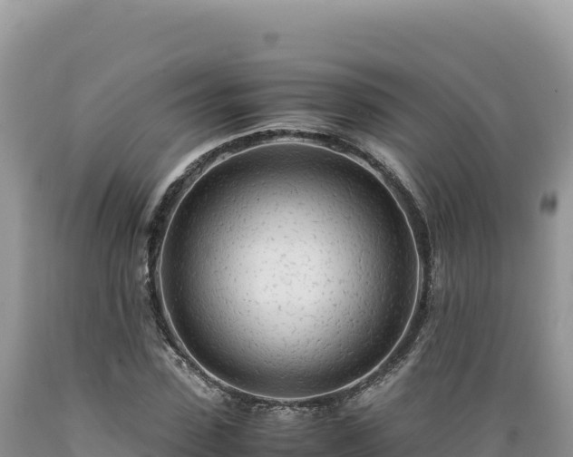 X0000089360923200706221157