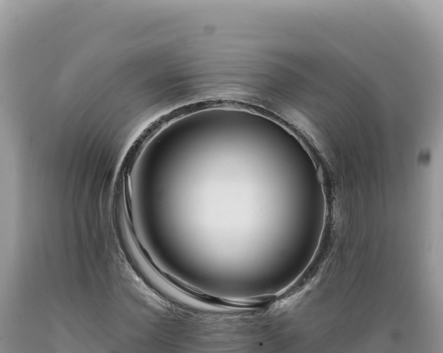 X0000089360924200706221157