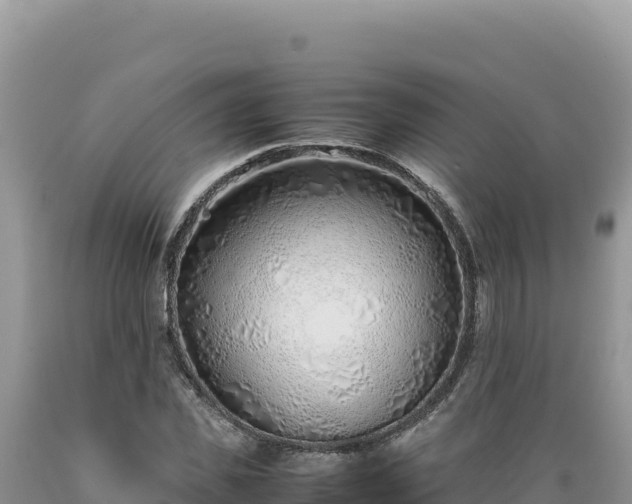 X0000089360925200706221157