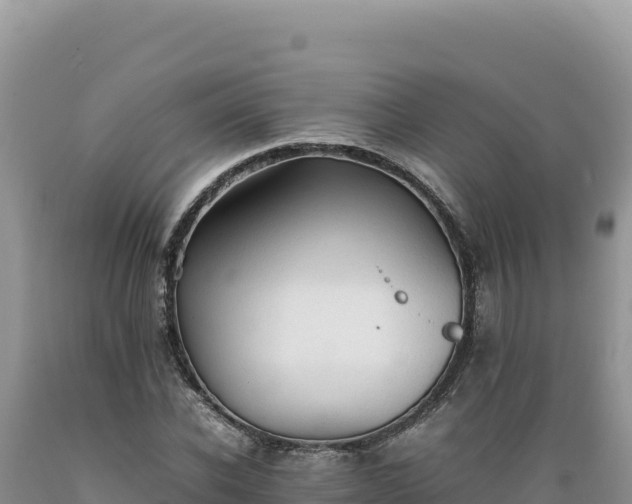 X0000089360926200706221157