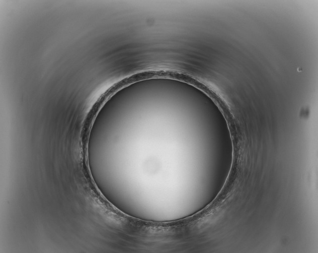 X0000089360927200706221157