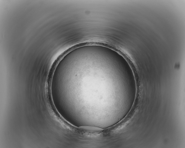 X0000089360928200706221157