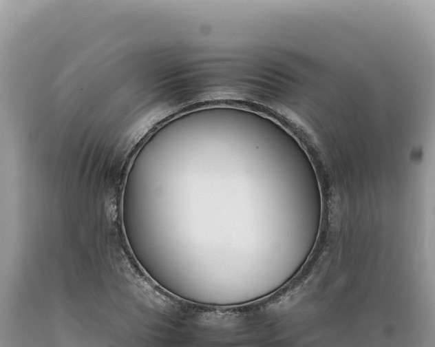 X0000089360929200706221157