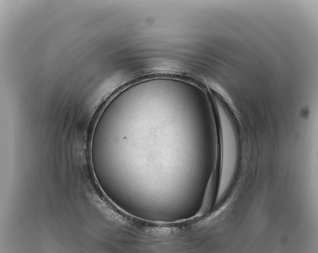X0000089360930200706221157