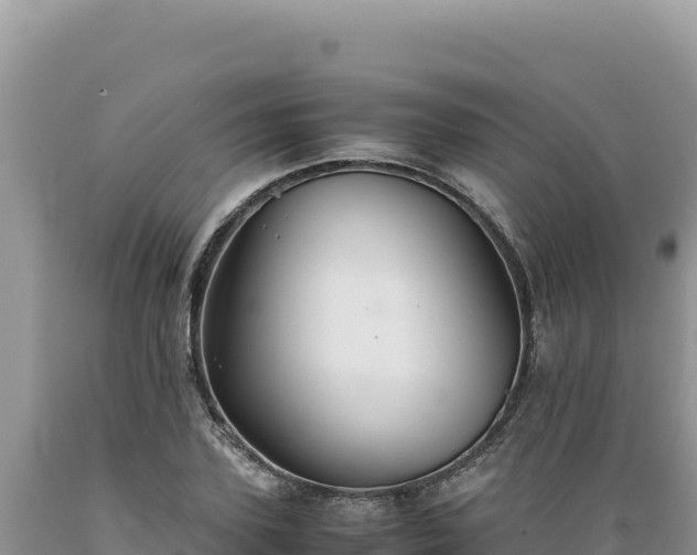 X0000089360931200706221157