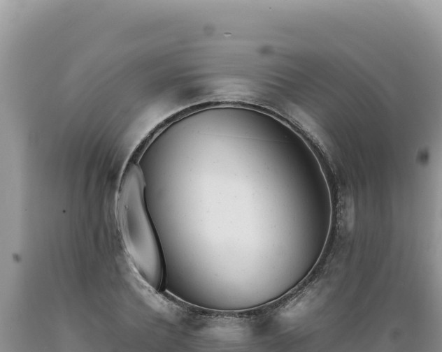 X0000089360932200706221157