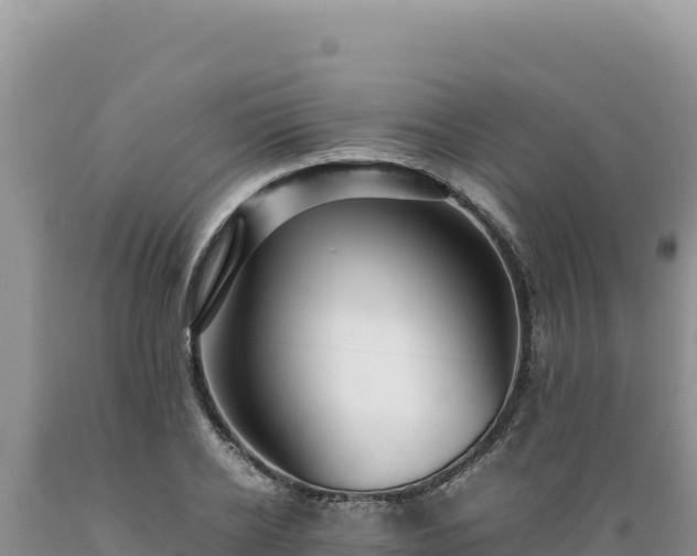 X0000089360934200706221157