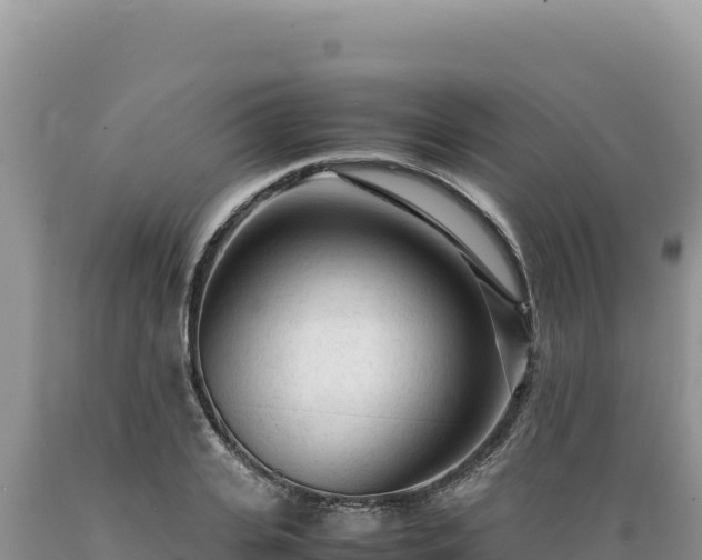 X0000089360935200706221157