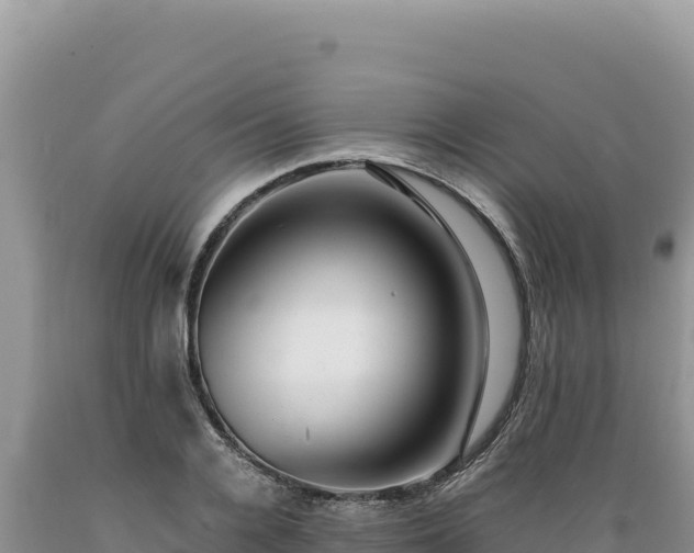 X0000089360936200706221157