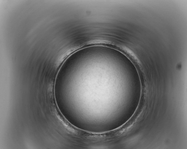 X0000089360937200706221157