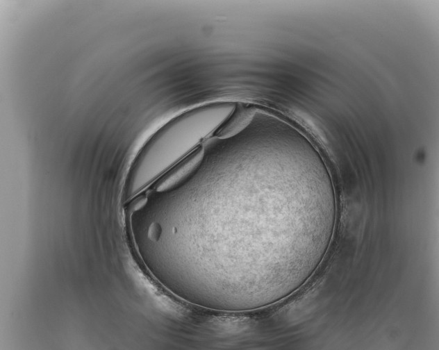 X0000089360939200706221157