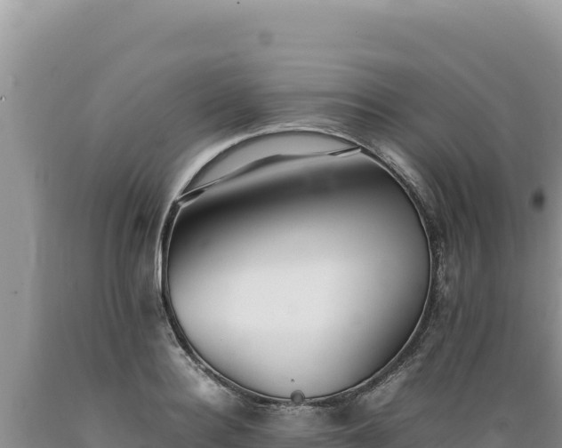 X0000089360940200706221157