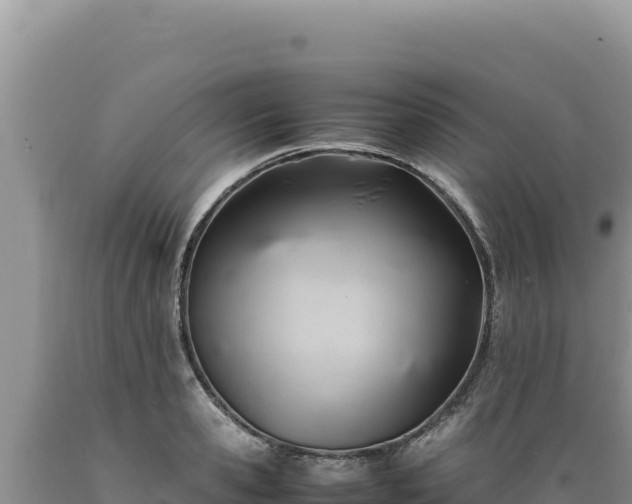 X0000089360941200706221157