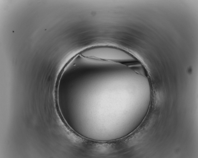 X0000089360943200706221157