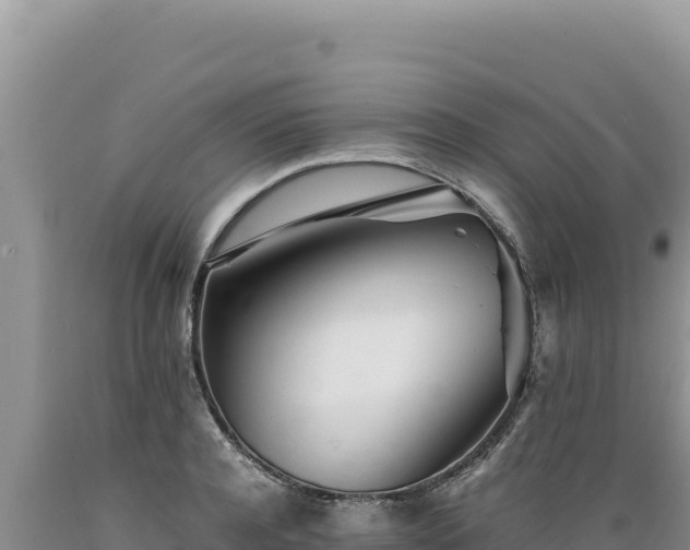 X0000089360944200706221157