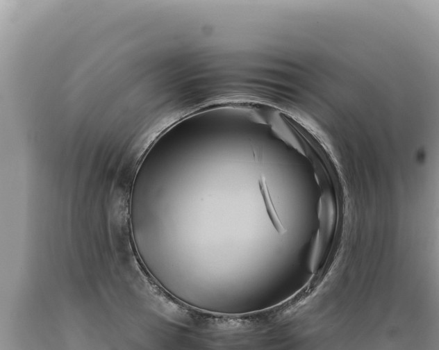 X0000089360945200706221157