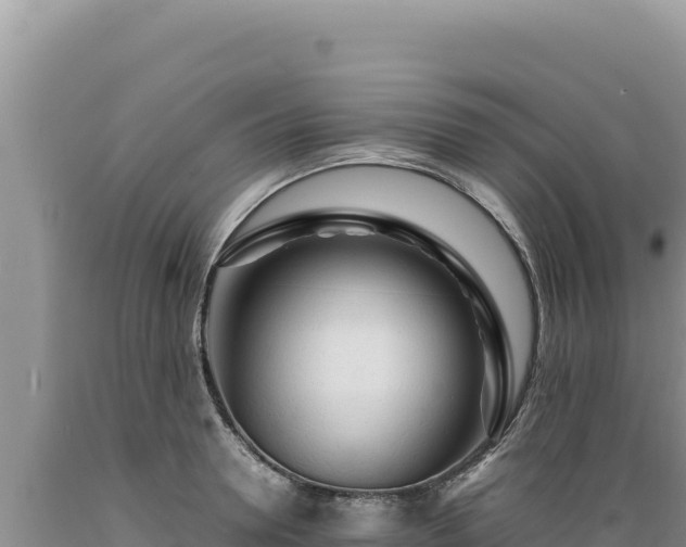 X0000089360946200706221157