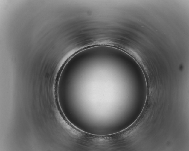 X0000089360947200706221157