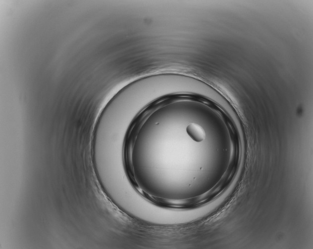 X0000089360948200706221157