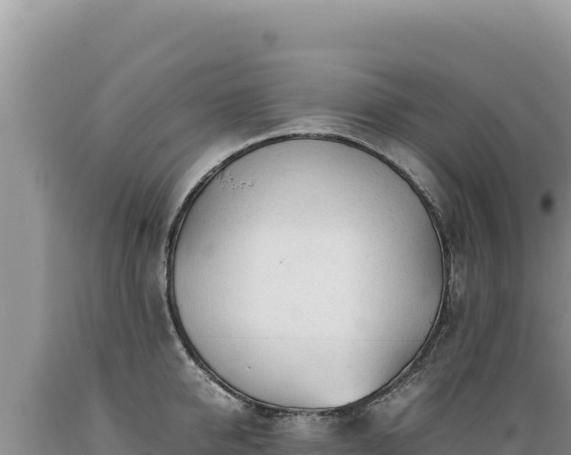 X0000089360950200706221157
