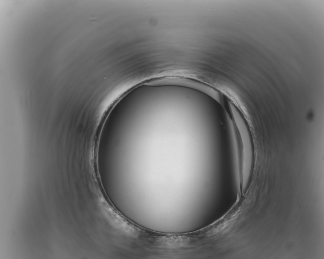 X0000089360952200706221157