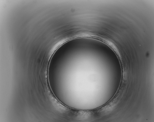 X0000089360954200706221157