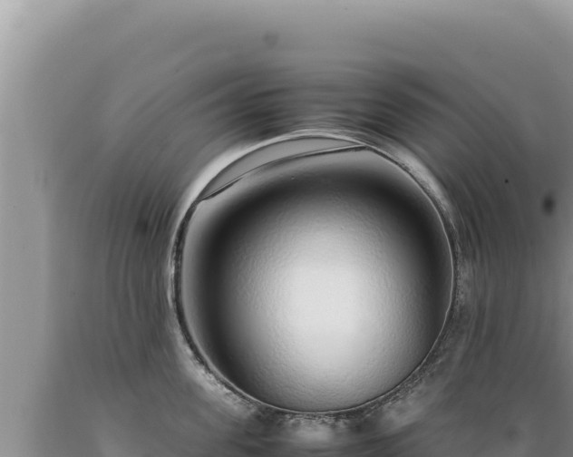 X0000089360955200706221157