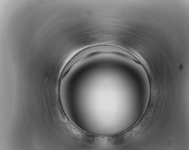 X0000089360956200706221157