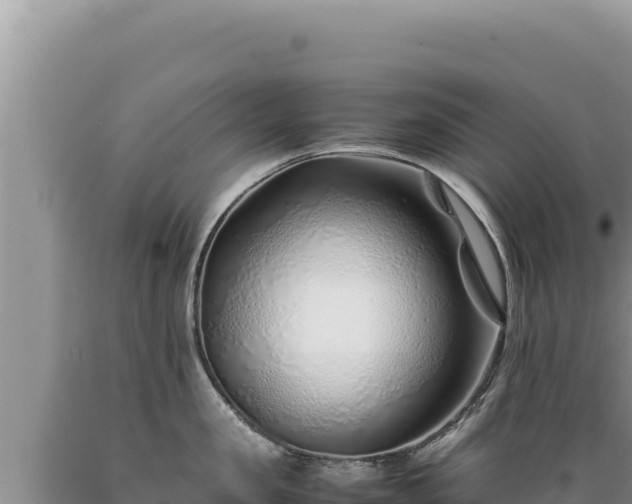 X0000089360957200706221157
