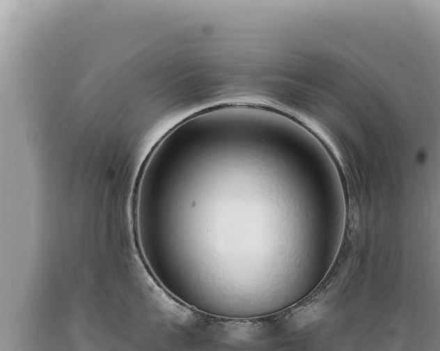 X0000089360959200706221157