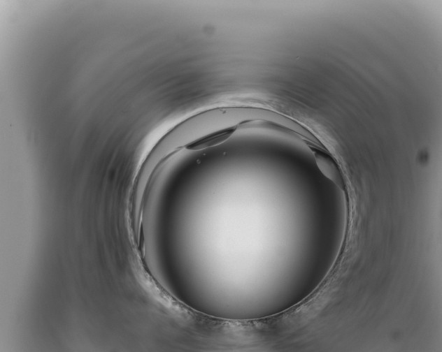 X0000089360960200706221157