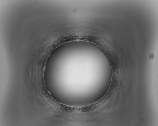 X0000089360961200706221157