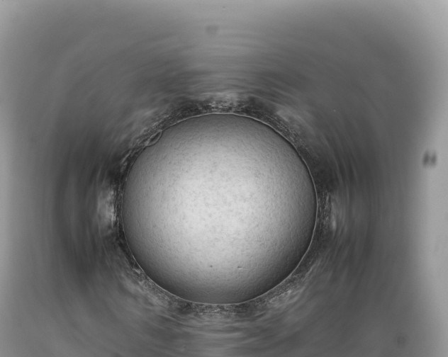 X0000089360962200706221157
