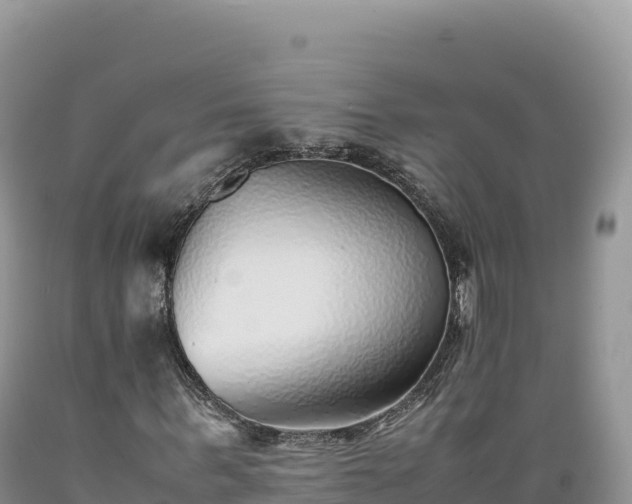 X0000089360963200706221157