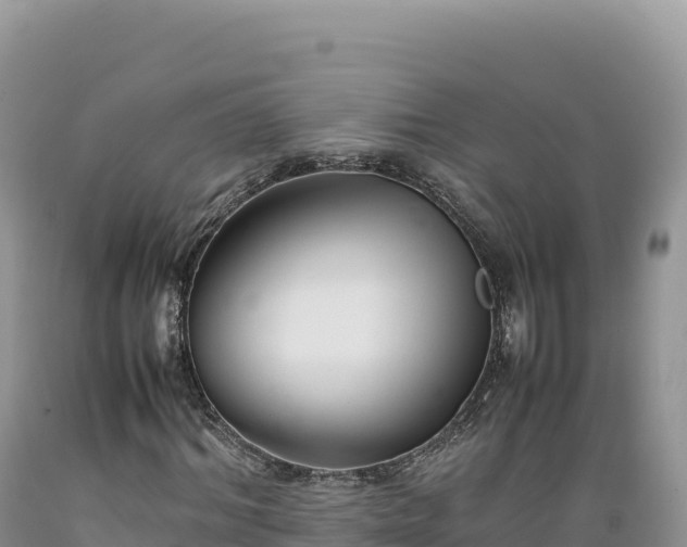 X0000089360964200706221157