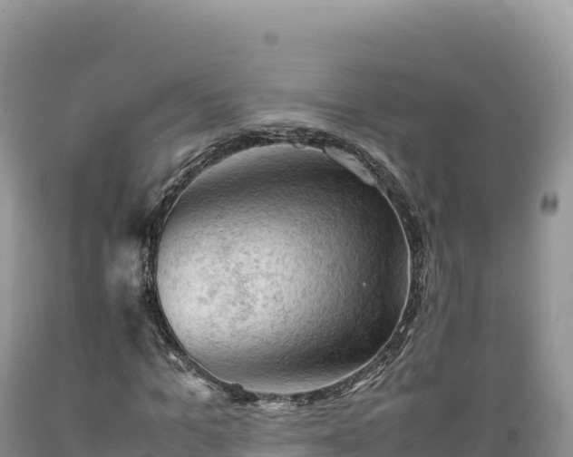 X0000089360965200706221157