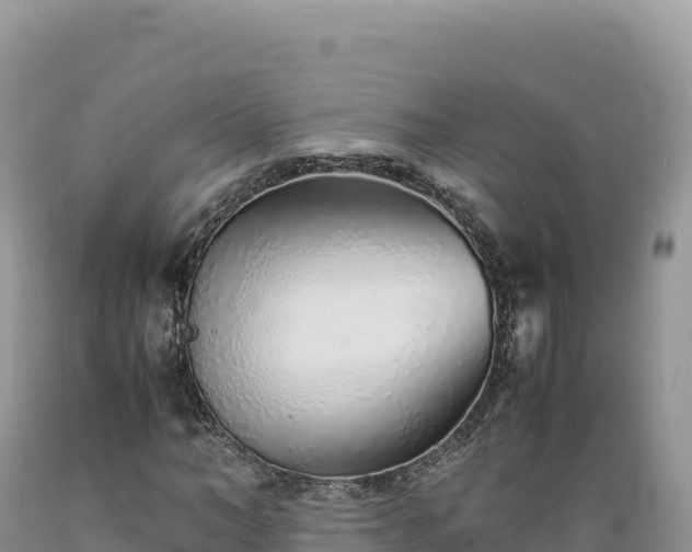 X0000089360966200706221157