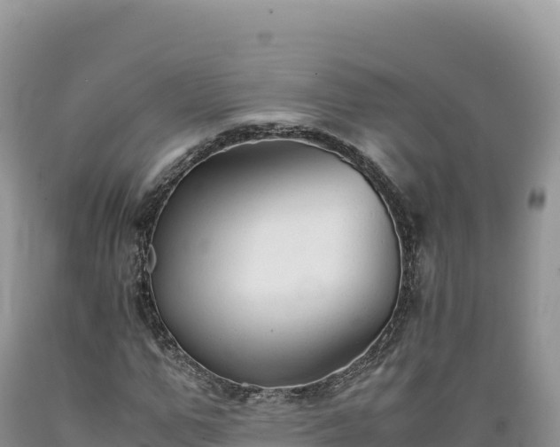 X0000089360967200706221157