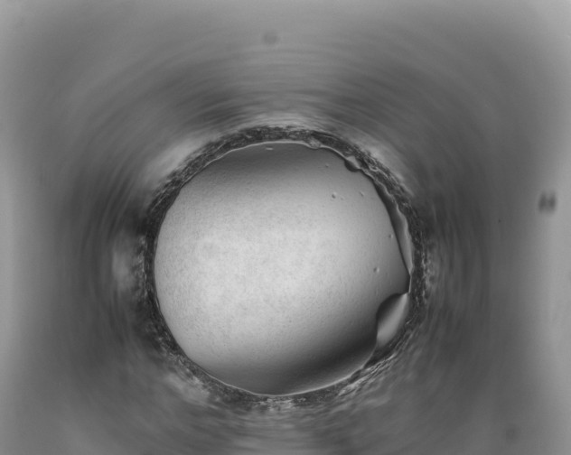 X0000089360968200706221157