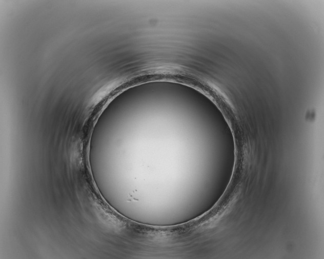 X0000089360970200706221157