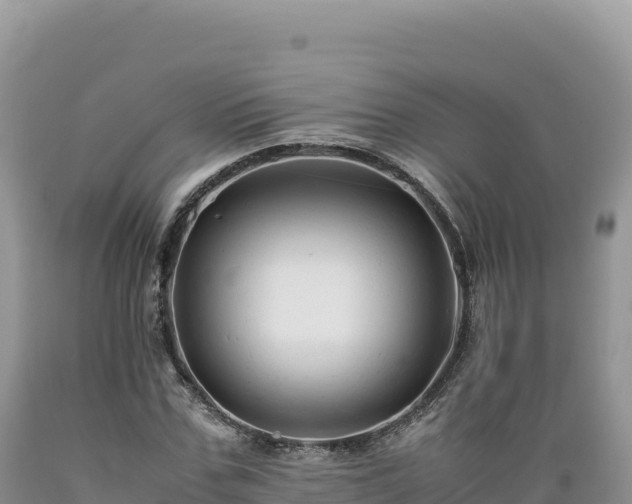 X0000089360971200706221157
