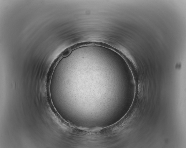 X0000089360972200706221157