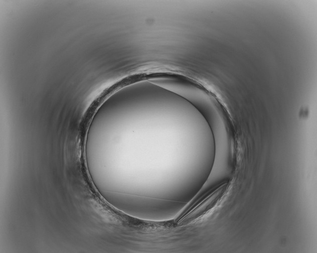 X0000089360973200706221157