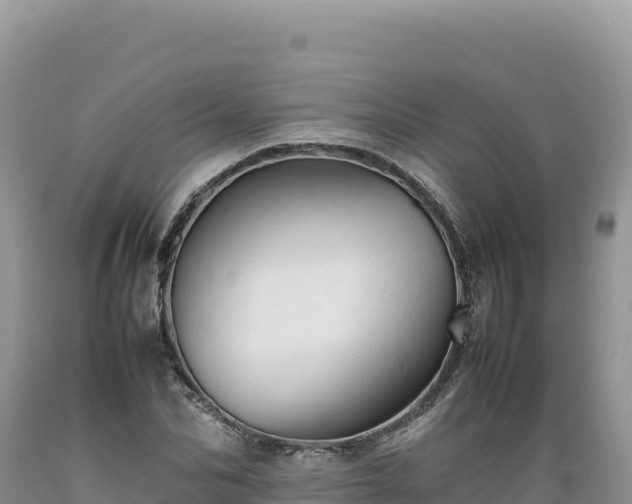 X0000089360974200706221157