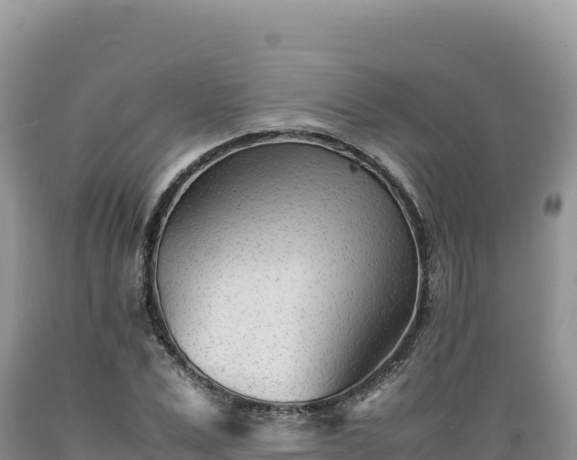 X0000089360975200706221157