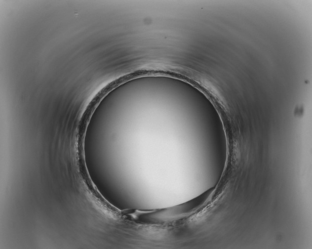 X0000089360976200706221156