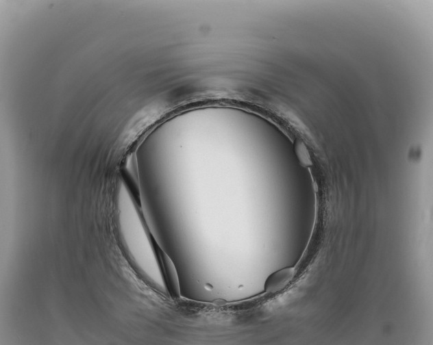X0000089360977200706221156