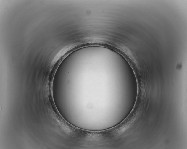 X0000089360978200706221156