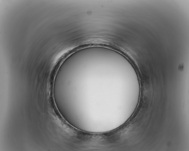 X0000089360979200706221156